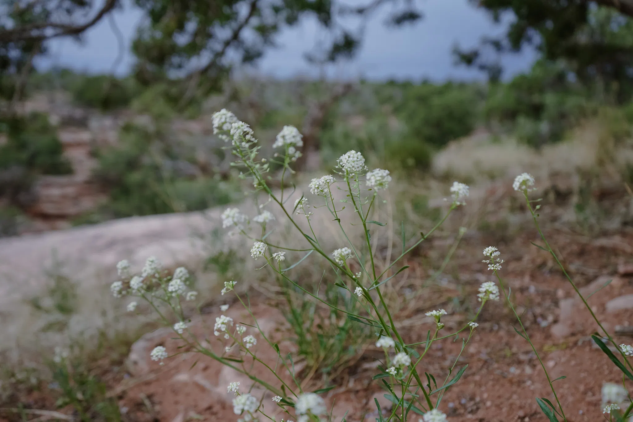 healthy living, nutrition coach, personal trainer, sustainable weight loss