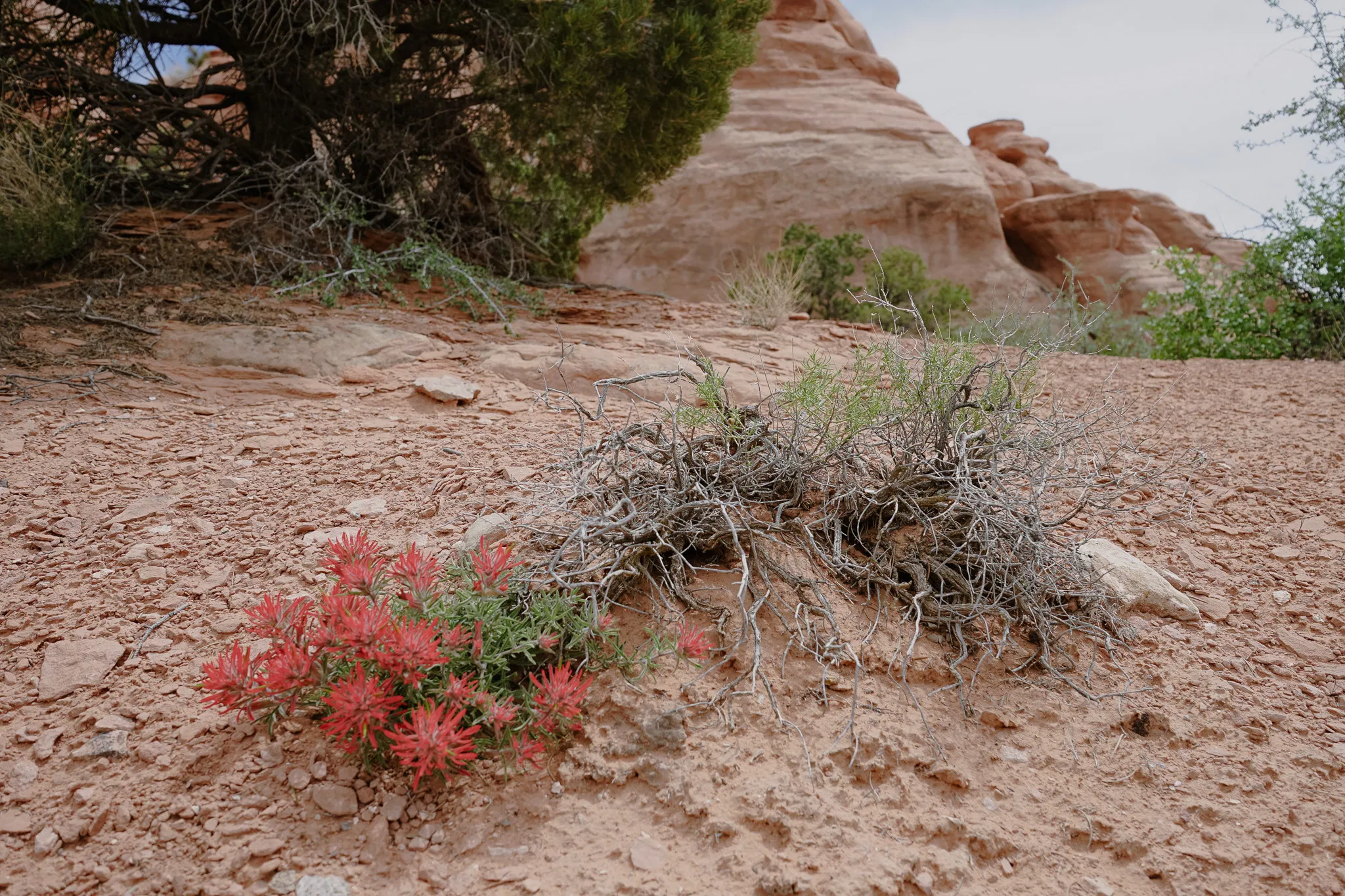 St Louis Nutrition Coach, st louis gym, healthy eating, gym near me