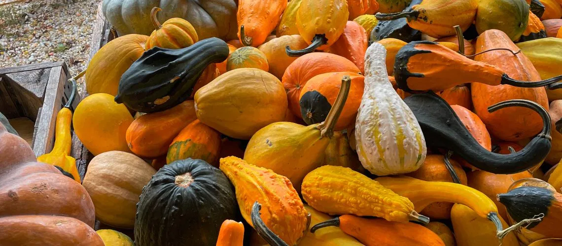 Sustainable weight loss support in St. Louis