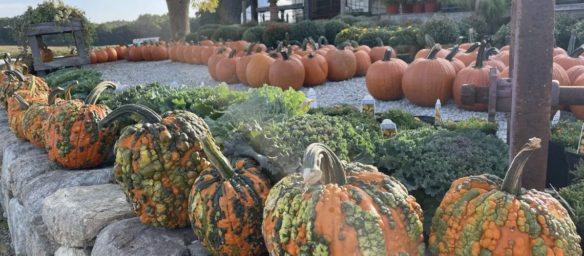 nutritionist st louis